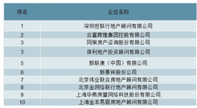 2022-2028年中國房地產(chǎn)中介市場(chǎng)全景調(diào)查與行業(yè)前景預(yù)測(cè)行業(yè)咨詢分析